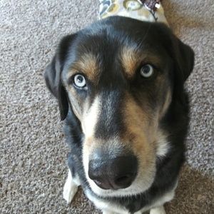 Meet your Posher, Brecklyn